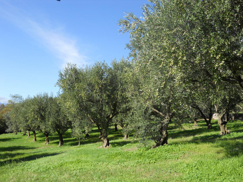 B&B Ca' Morino Verona Buitenkant foto