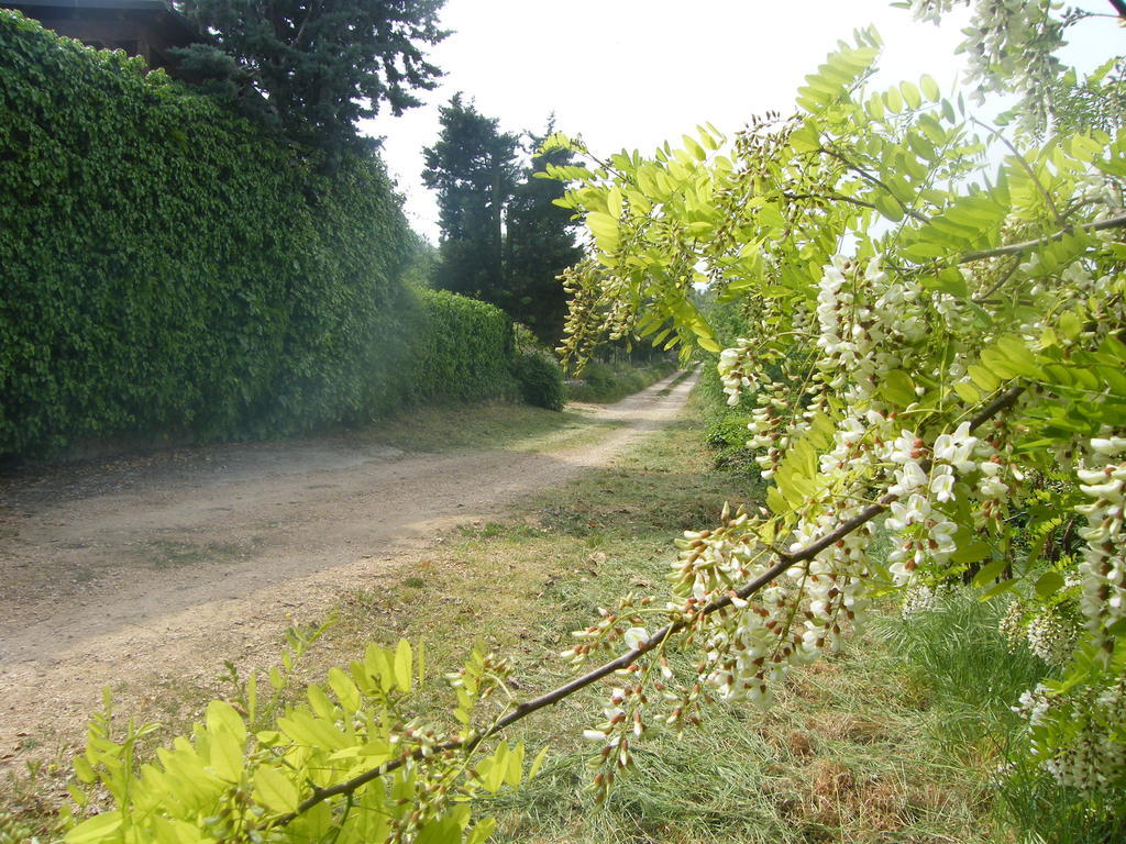 B&B Ca' Morino Verona Buitenkant foto